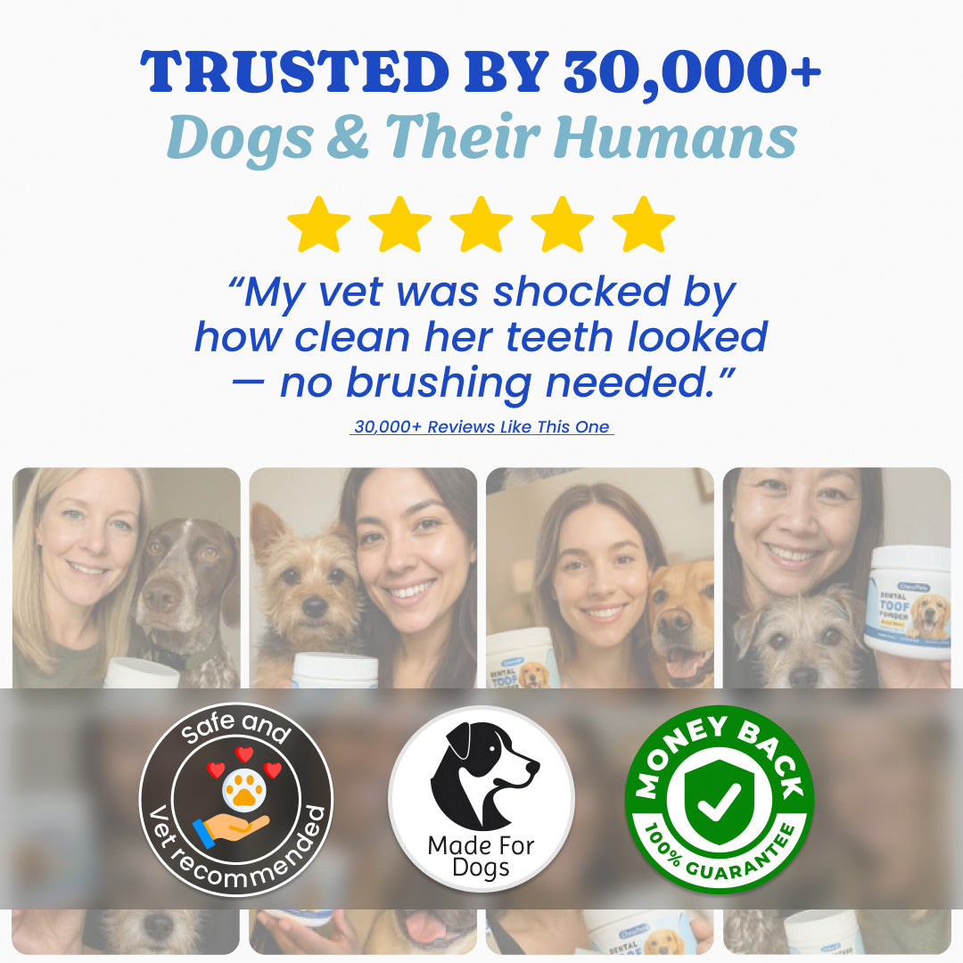 Dental Toof Powder™