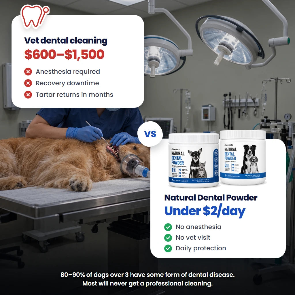 2. Skips the $1,400 Cleaning+ and Anesthesia Risk