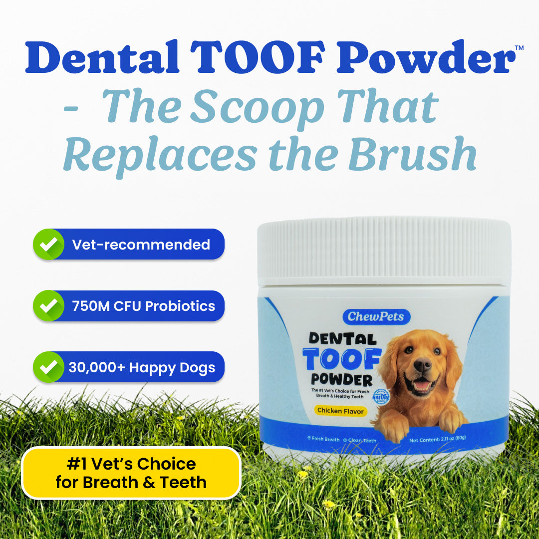Dental Toof Powder™