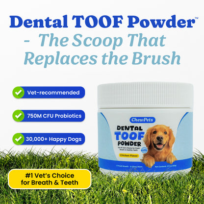 Dental Toof Powder™