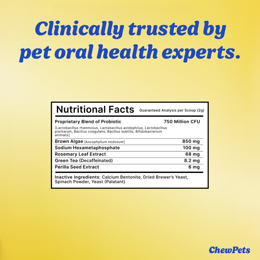 Dental Toof Powder™