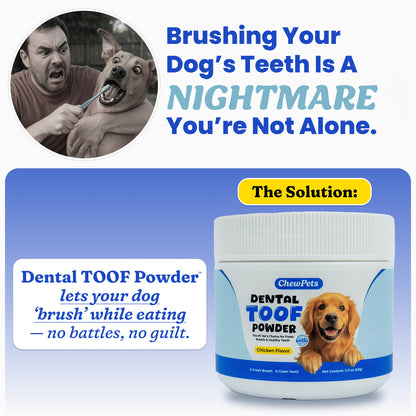 Dental Toof Powder™