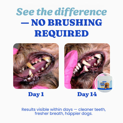 Dental Toof Powder™