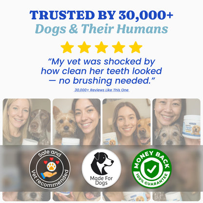 Dental Toof Powder™