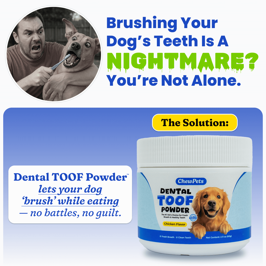 Dental Toof Powder™ – The Scoop That Replaces the Brush