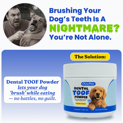 Dental Toof Powder™ – The Scoop That Replaces the Brush