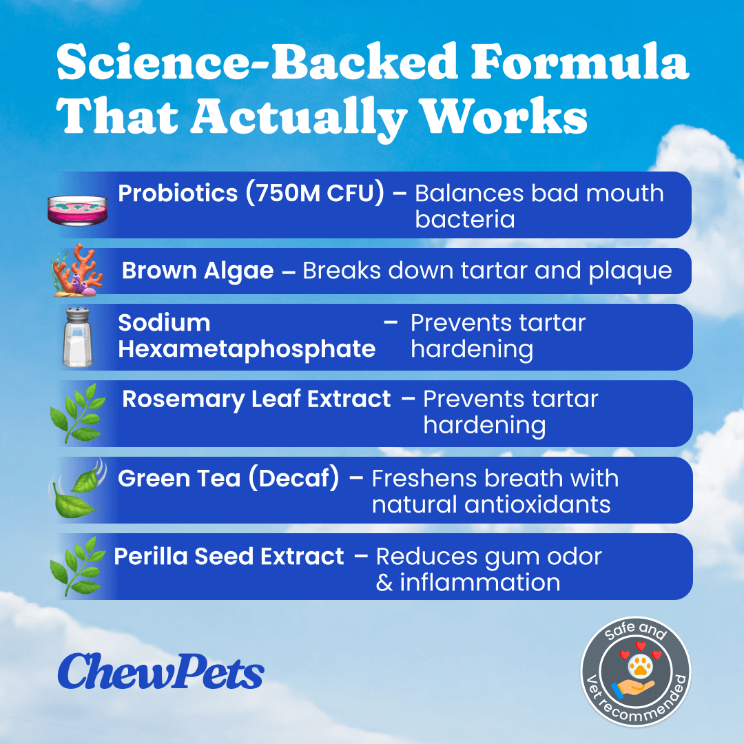 Dental Toof Powder™ – The Scoop That Replaces the Brush