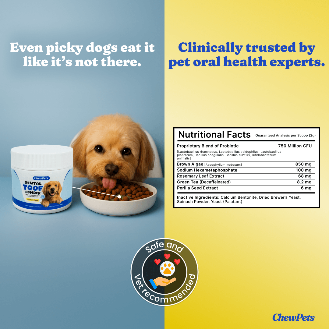 Dental Toof Powder™ – The Scoop That Replaces the Brush