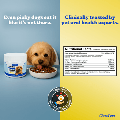 Dental Toof Powder™ – The Scoop That Replaces the Brush