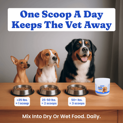 Dental Toof Powder™ – The Scoop That Replaces the Brush