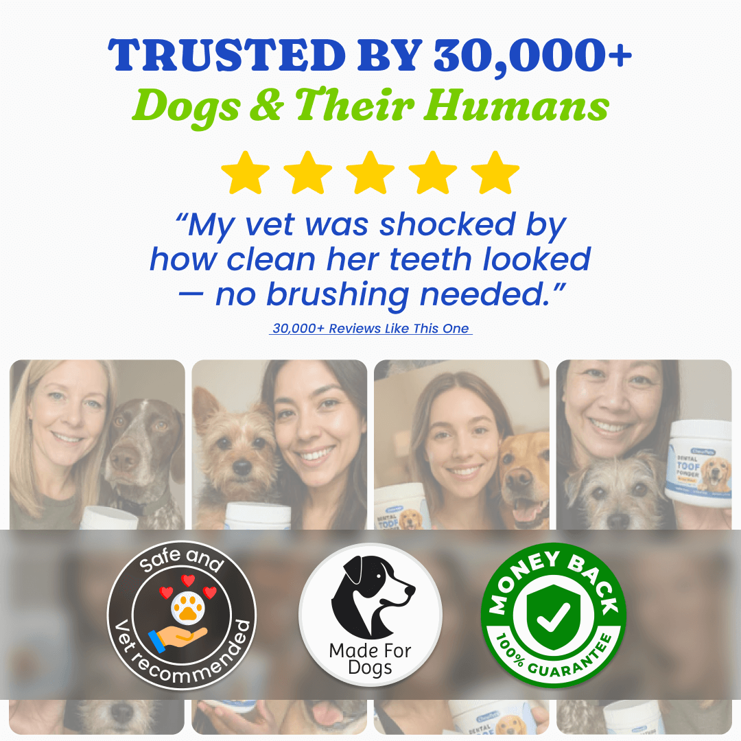 Dental Toof Powder™ – The Scoop That Replaces the Brush