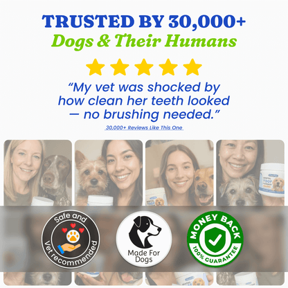 Dental Toof Powder™ – The Scoop That Replaces the Brush