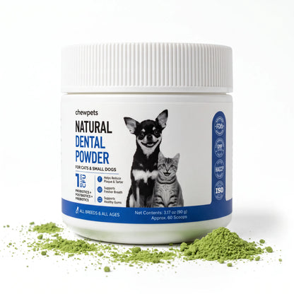 Natural Dental Powder - Easy Dental Care