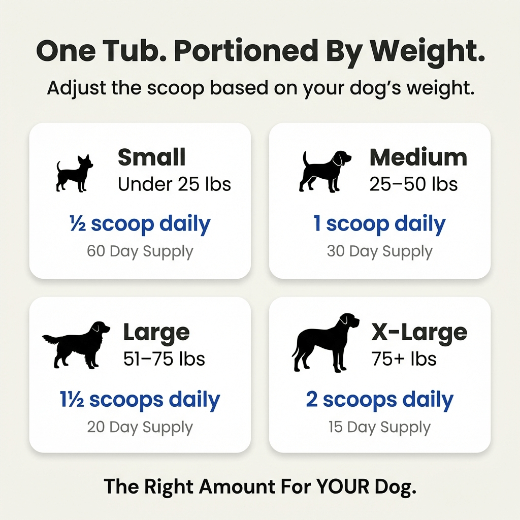 Dental Toof Powder — 4 Gifts Included