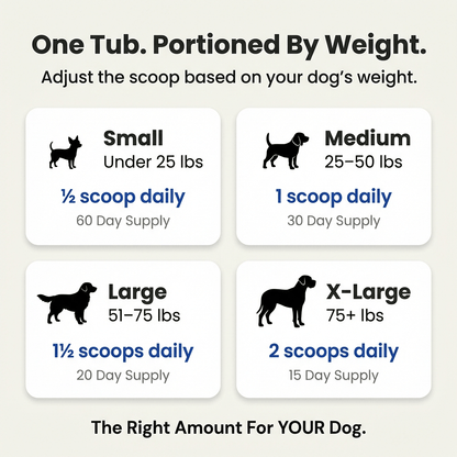 Dental Toof Powder — 4 Gifts Included