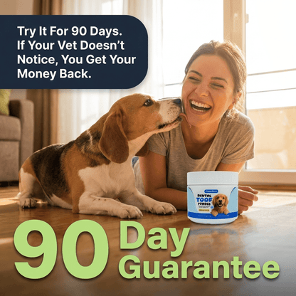 Dental Toof Powder — 4 Gifts Included