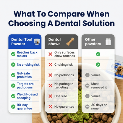 Dental Toof Powder — 4 Gifts Included