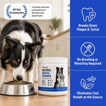 Natural Dental Powder - Easy Dog Dental Care