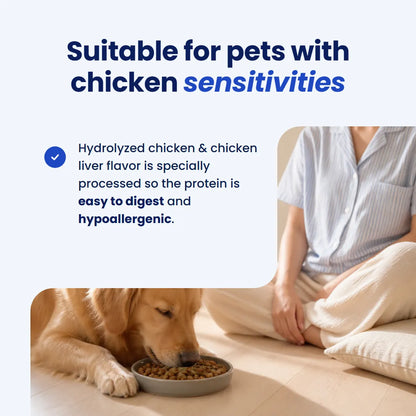 Natural Dental Powder - Easy Dog Dental Care
