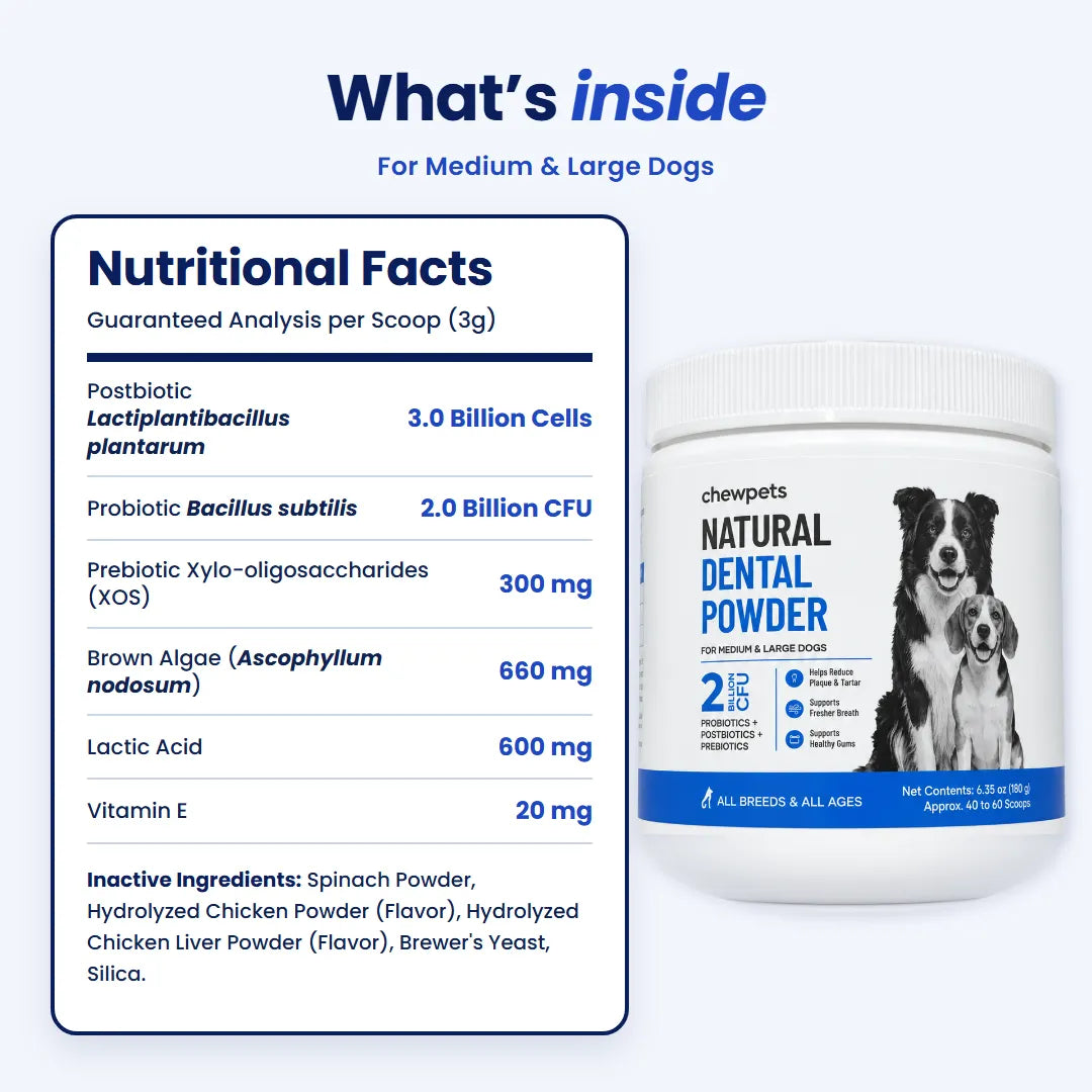 Natural Dental Powder - Easy Dog Dental Care