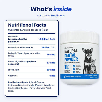 Natural Dental Powder - Easy Dental Care