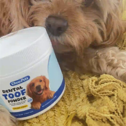 Dental Toof Powder — 4 Gifts Included